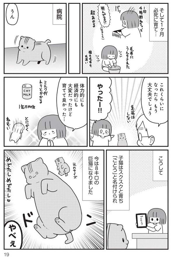 お肉おいしい『はじめてのねこ』7