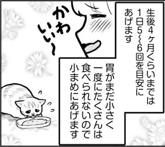 きくまき『たれ目猫そむがやってきた』