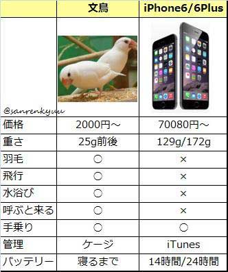 iPhone 文鳥 比較表 理由なき激怒 さかむけ 鳥プル 尻 寝るまで ネタ シリーズ 風物詩