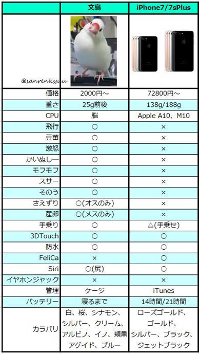 iPhone 文鳥 比較表 理由なき激怒 さかむけ 鳥プル 尻 寝るまで ネタ シリーズ 風物詩