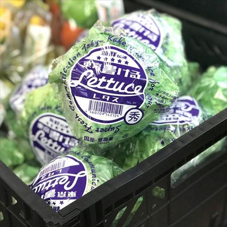 東京書けるレタス