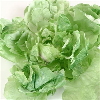 東京書けるレタス