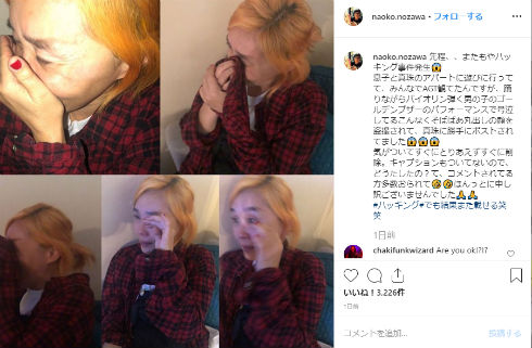 野沢直子 総合格闘技 アメリカ 真珠 家族