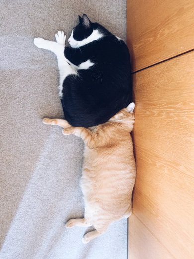 くらはしれいさん