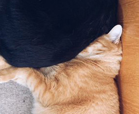 くらはしれいさん