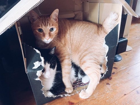 くらはしれいさん