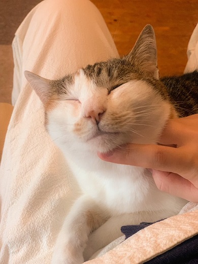 くらはしれいさん