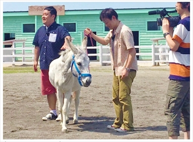 ドロンズ 大島直也 ドロンズ石本 ロシナンテ 電波少年 ヒッチハイク ロバ