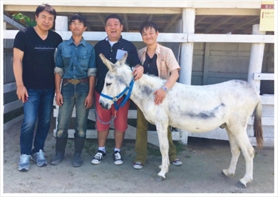 ドロンズ 大島直也 ドロンズ石本 ロシナンテ 電波少年 ヒッチハイク ロバ 花畑牧場 田中義剛