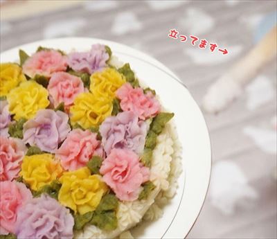 豆柴こむぎの部屋