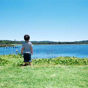 Pokemon ダイマックスカメラ ポケットモンスター ソード シールド 巨大化