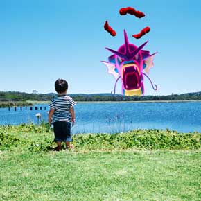 Pokemon ダイマックスカメラ ポケットモンスター ソード シールド 巨大化