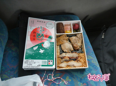 青春18きっぷ 小海線 "HIGH RAIL 1375"