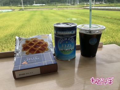 青春18きっぷ 小海線 "HIGH RAIL 1375"