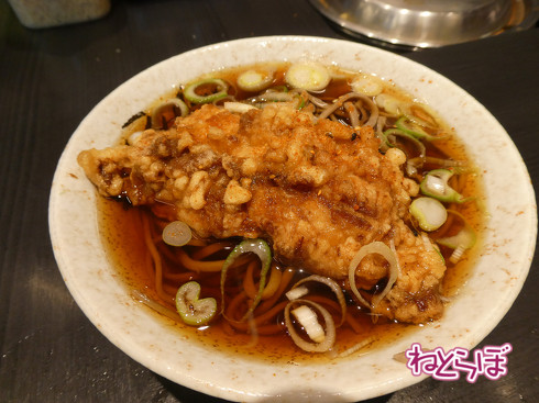 青春18きっぷ 小海線 "HIGH RAIL 1375"