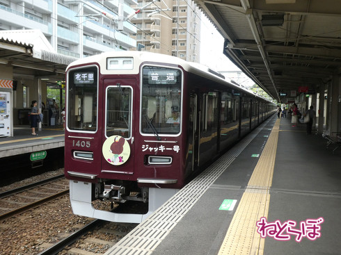 青春18きっぷ ムーンライトながら