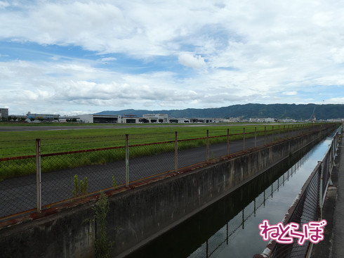 青春18きっぷ ムーンライトながら