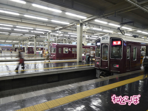 青春18きっぷ ムーンライトながら