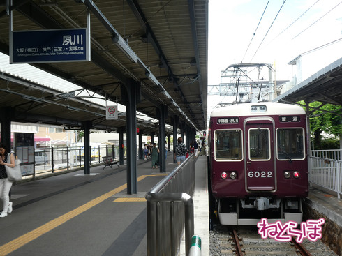 青春18きっぷ ムーンライトながら