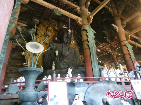 青春18きっぷ ムーンライトながら