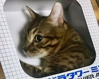 メガドラタワーミニ