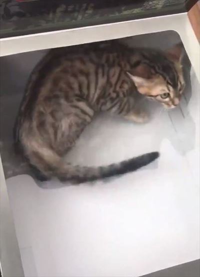 メガドラタワーミニ