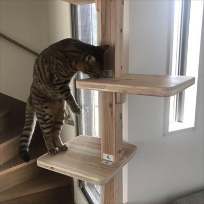 メガドラタワーミニ