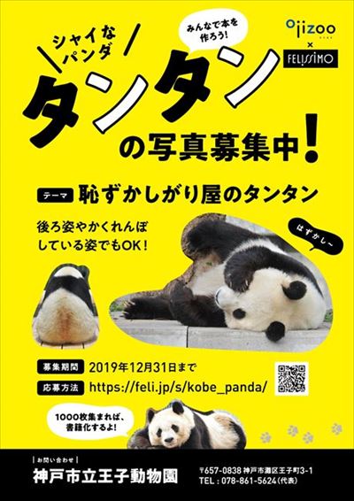 タンタン写真集