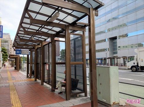 早朝の3番のりば。先客もいました