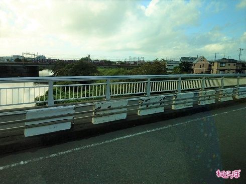 大磯町に入り、花水橋を渡ります。貨物列車が向こうに見えました