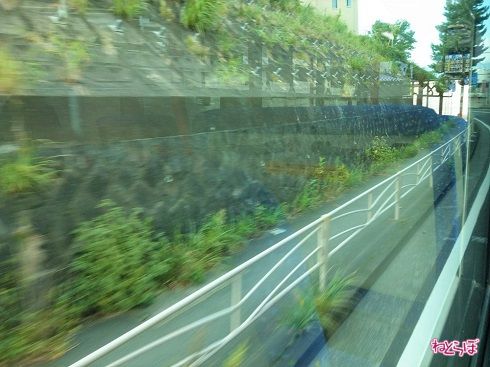 テレビで見覚えのある押切坂を、力強く登っていきます