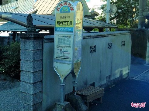 実際の「酒匂三丁目」。箱根登山バスのバス停と神奈中のバス停が並んでいます