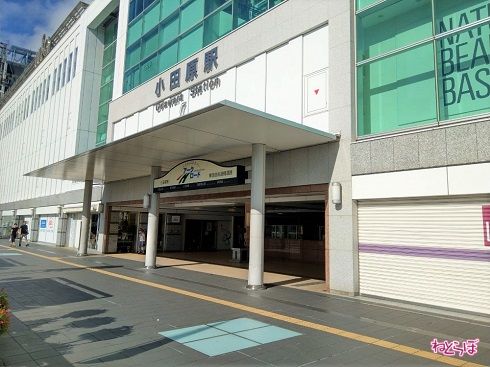 小田原駅に着きました