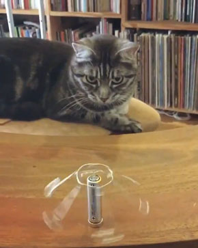 メリーゴーラウンド