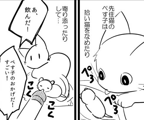 捨て猫 拾ったら 予想の斜め上の結果 成長 大型 犬 漫画 イケメン me