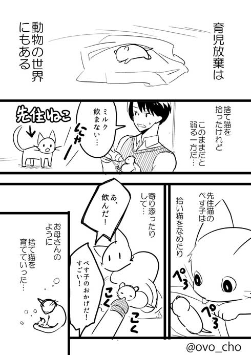 捨て猫 拾ったら 予想の斜め上の結果 成長 大型 犬 漫画 イケメン me