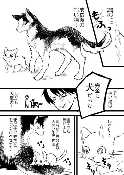 捨て猫 拾ったら 予想の斜め上の結果 成長 大型 犬 漫画 イケメン me