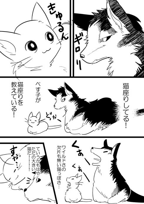 捨て猫 拾ったら 予想の斜め上の結果 成長 大型 犬 漫画 イケメン me