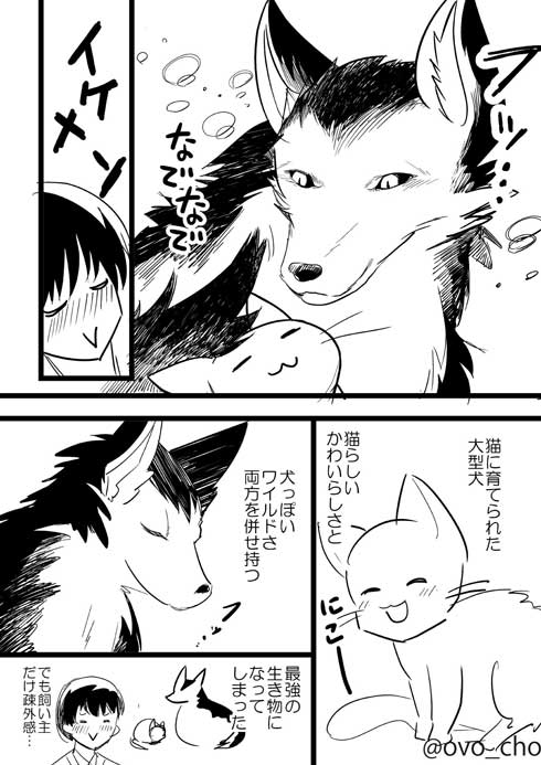 捨て猫 拾ったら 予想の斜め上の結果 成長 大型 犬 漫画 イケメン me