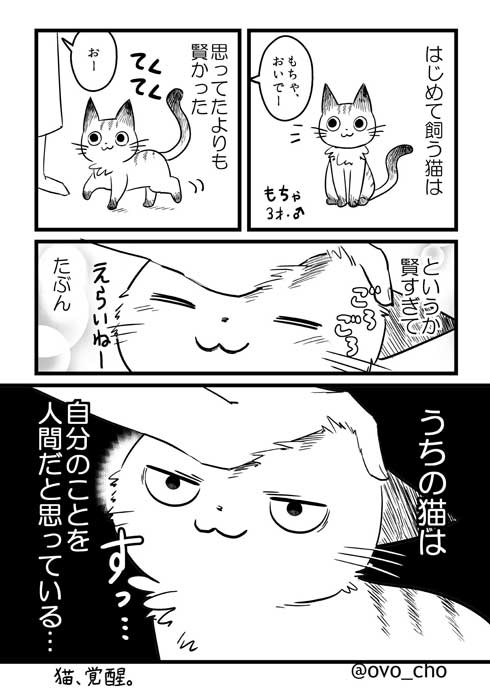 捨て猫 拾ったら 予想の斜め上の結果 成長 大型 犬 漫画 イケメン me