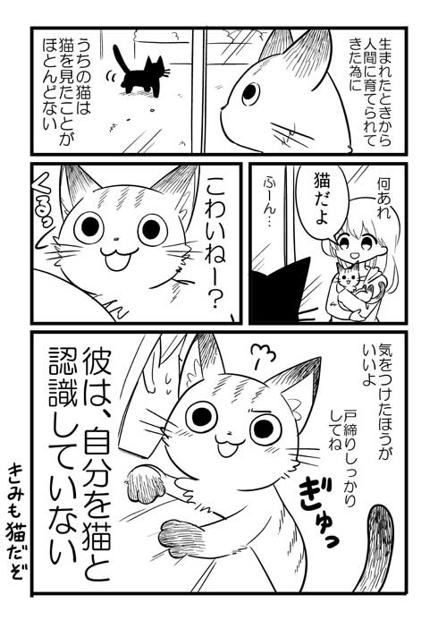 捨て猫 拾ったら 予想の斜め上の結果 成長 大型 犬 漫画 イケメン me
