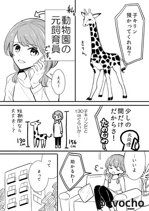 捨て猫 拾ったら 予想の斜め上の結果 成長 大型 犬 漫画 イケメン me
