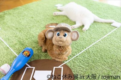 ねこ休み展in大阪