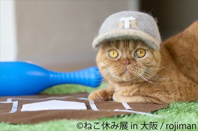 ねこ休み展in大阪