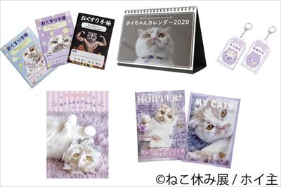 ねこ休み展in大阪