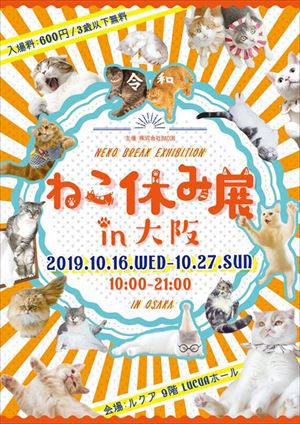 ねこ休み展in大阪
