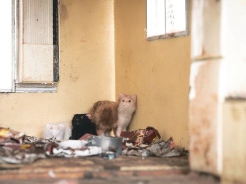 孤独死ミニチュア