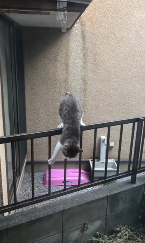 コンドリア水戸さん