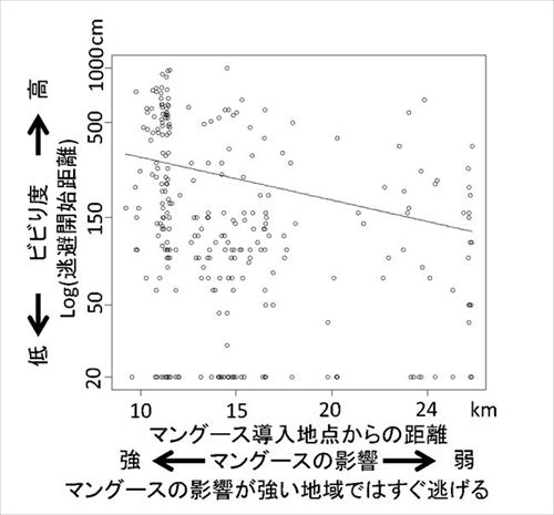 東京農工大　マングースとカエルの関係
