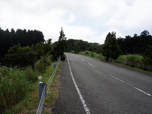 西伊豆スカイラインをスイスイと走る